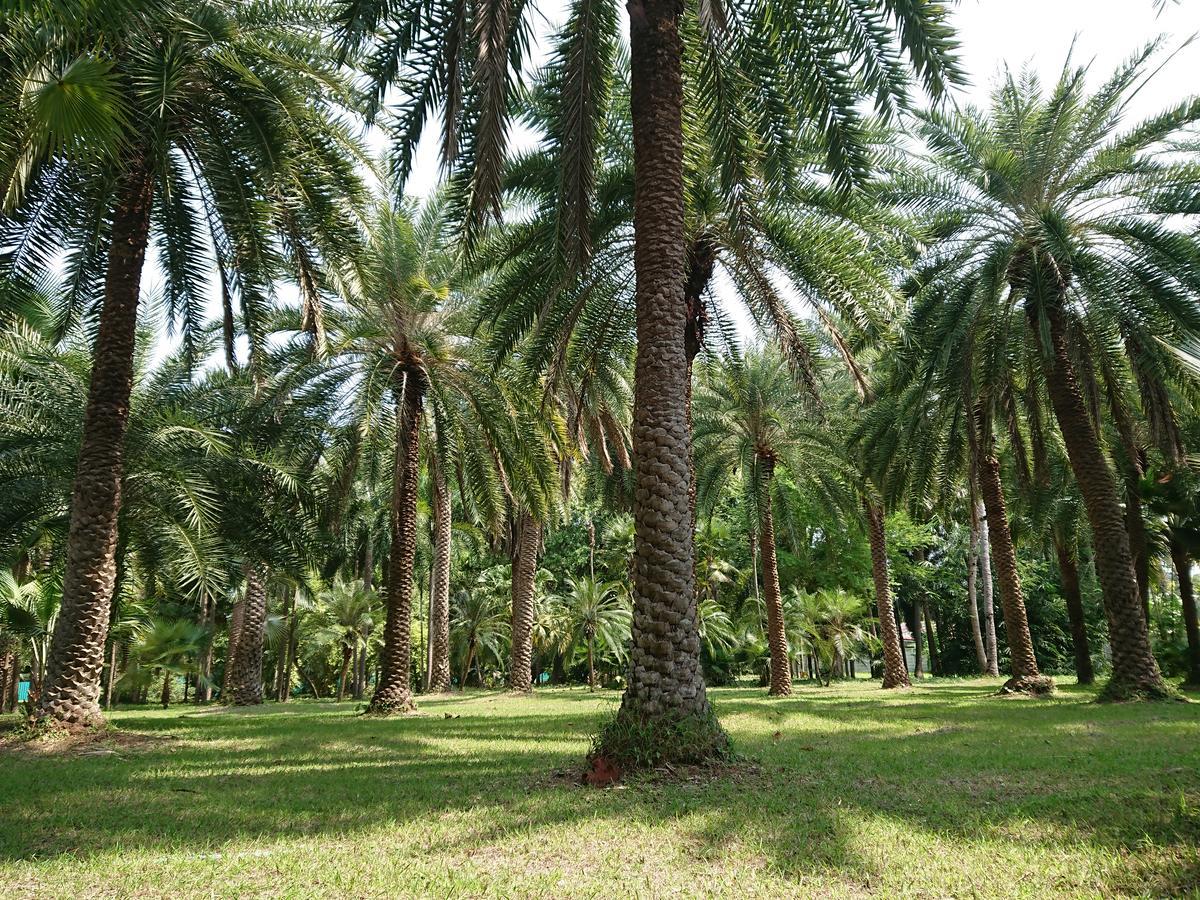 Lopburi Palm Resort Exterior photo