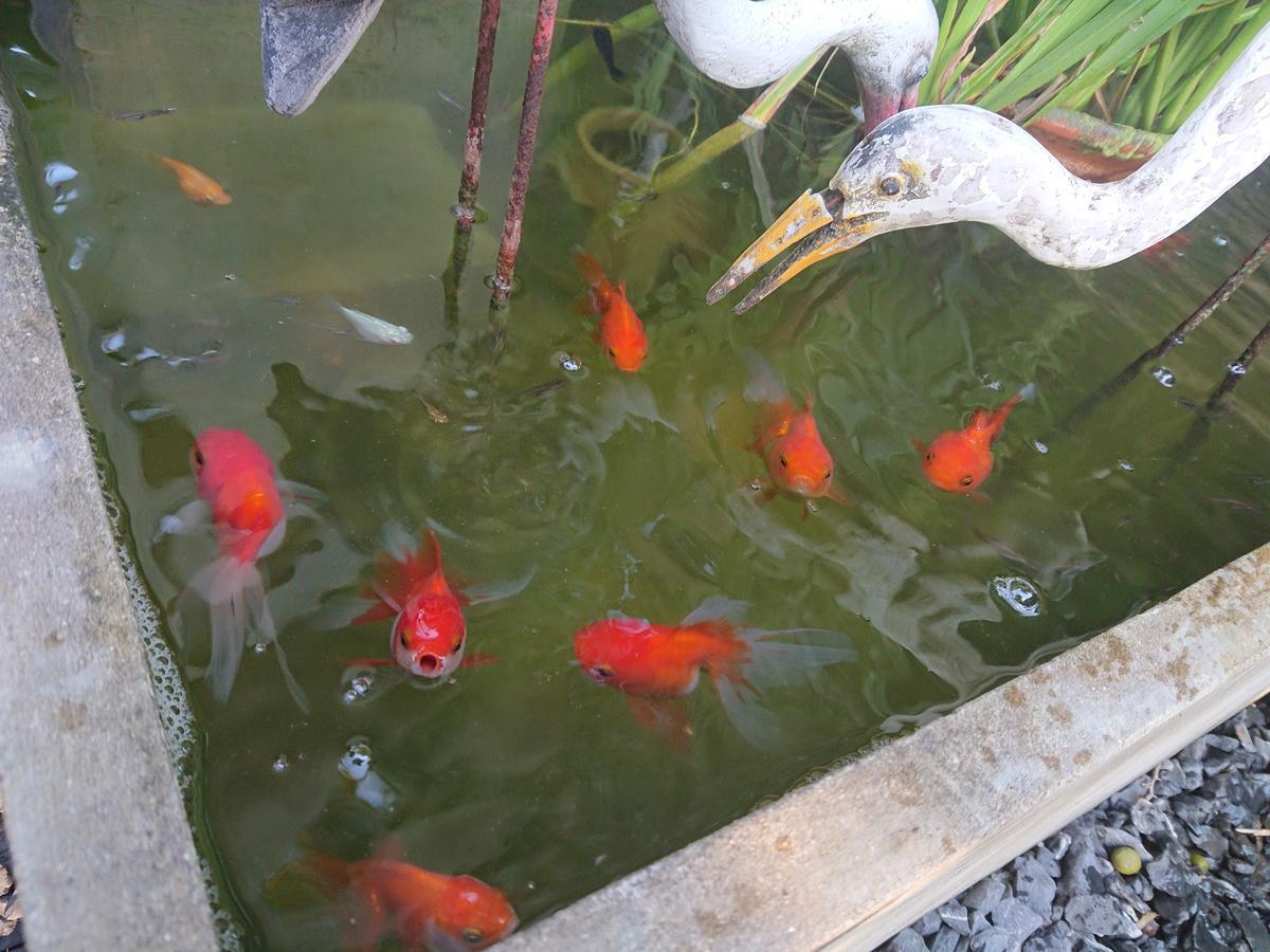 Lopburi Palm Resort Exterior photo